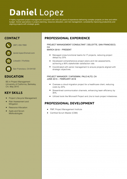 Project Management Consultant Resume Example
