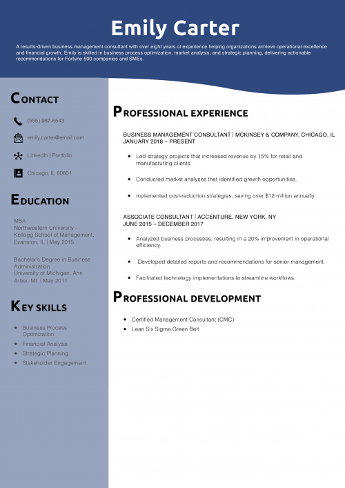  Business Management Consultant Resume Example