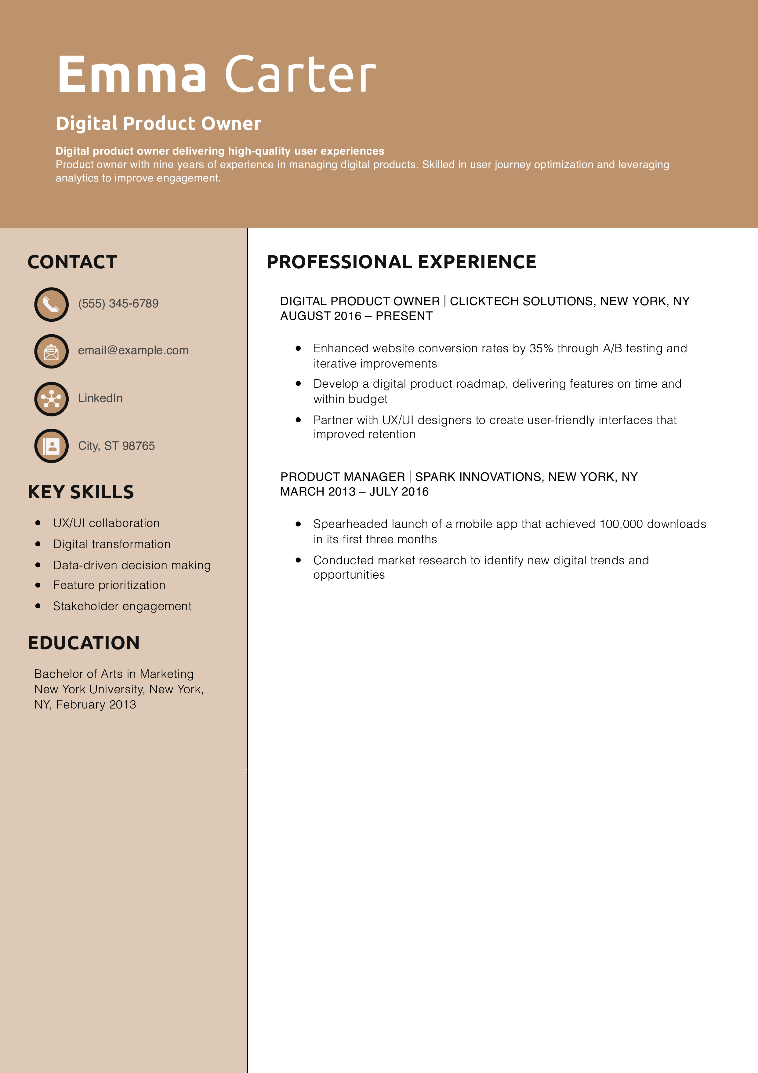 Digital Product Owner Resume