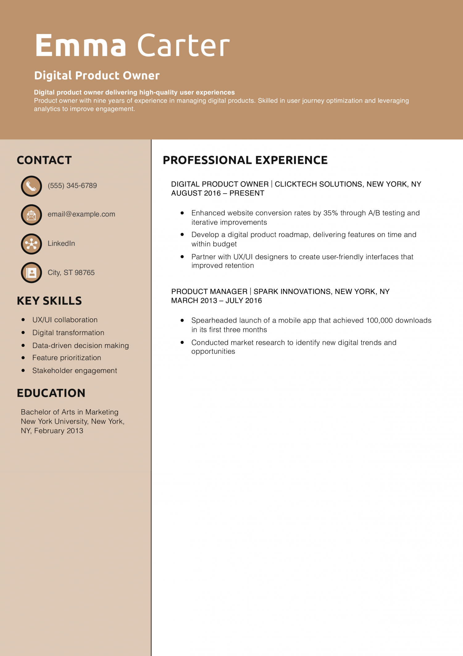 Digital Product Owner Resume