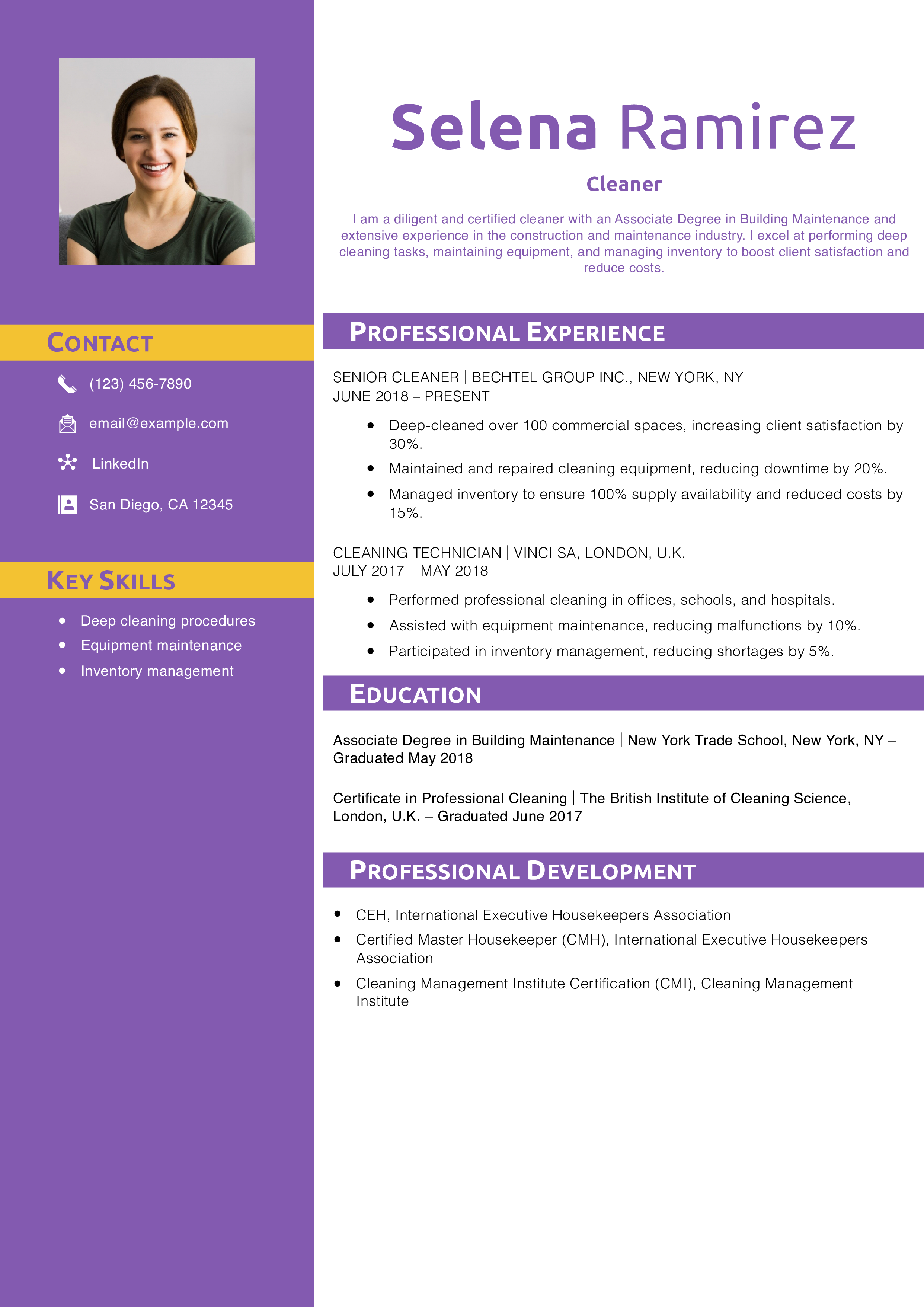 Cleaner Resume Example
