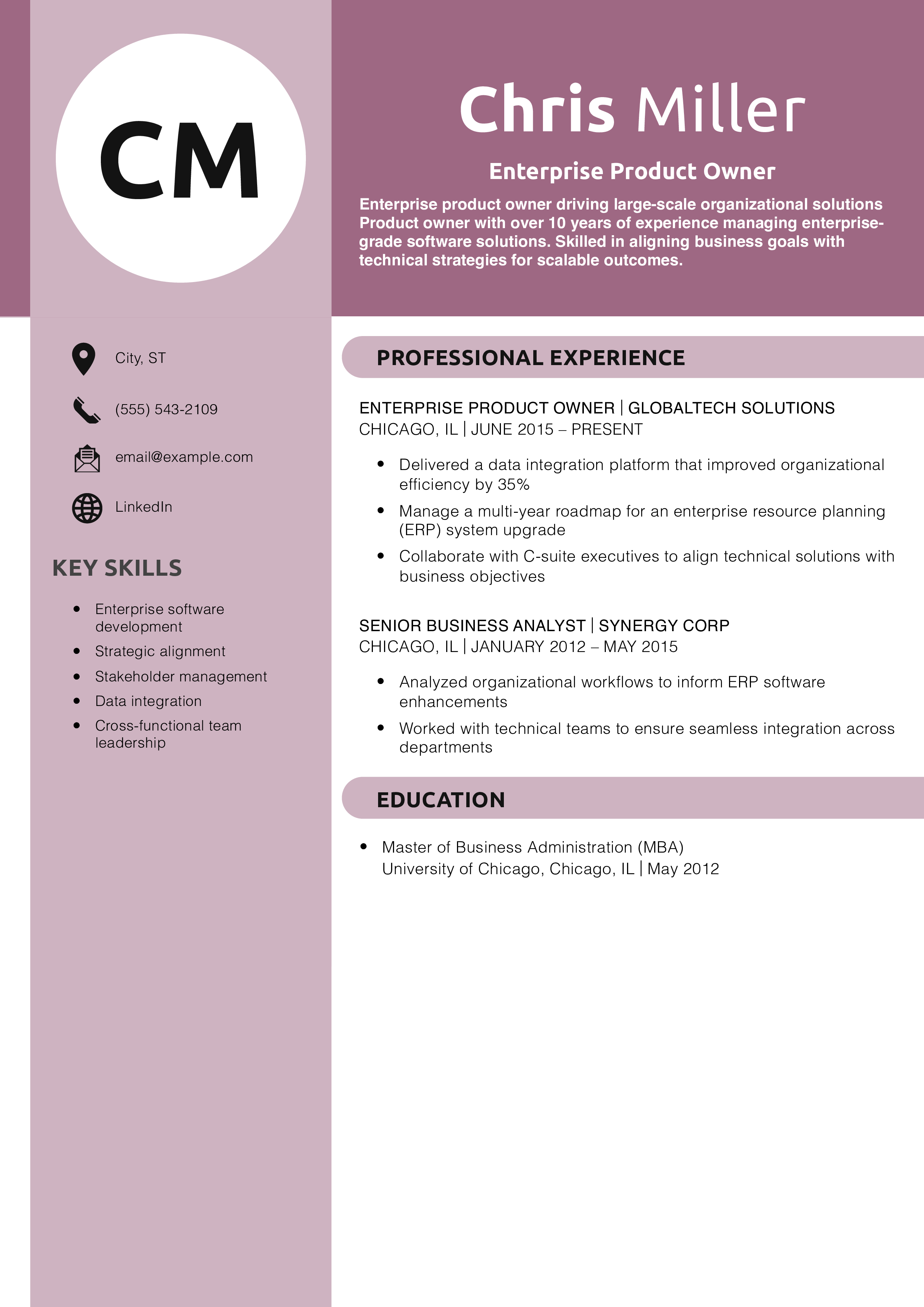Enterprise Product Owner Resume