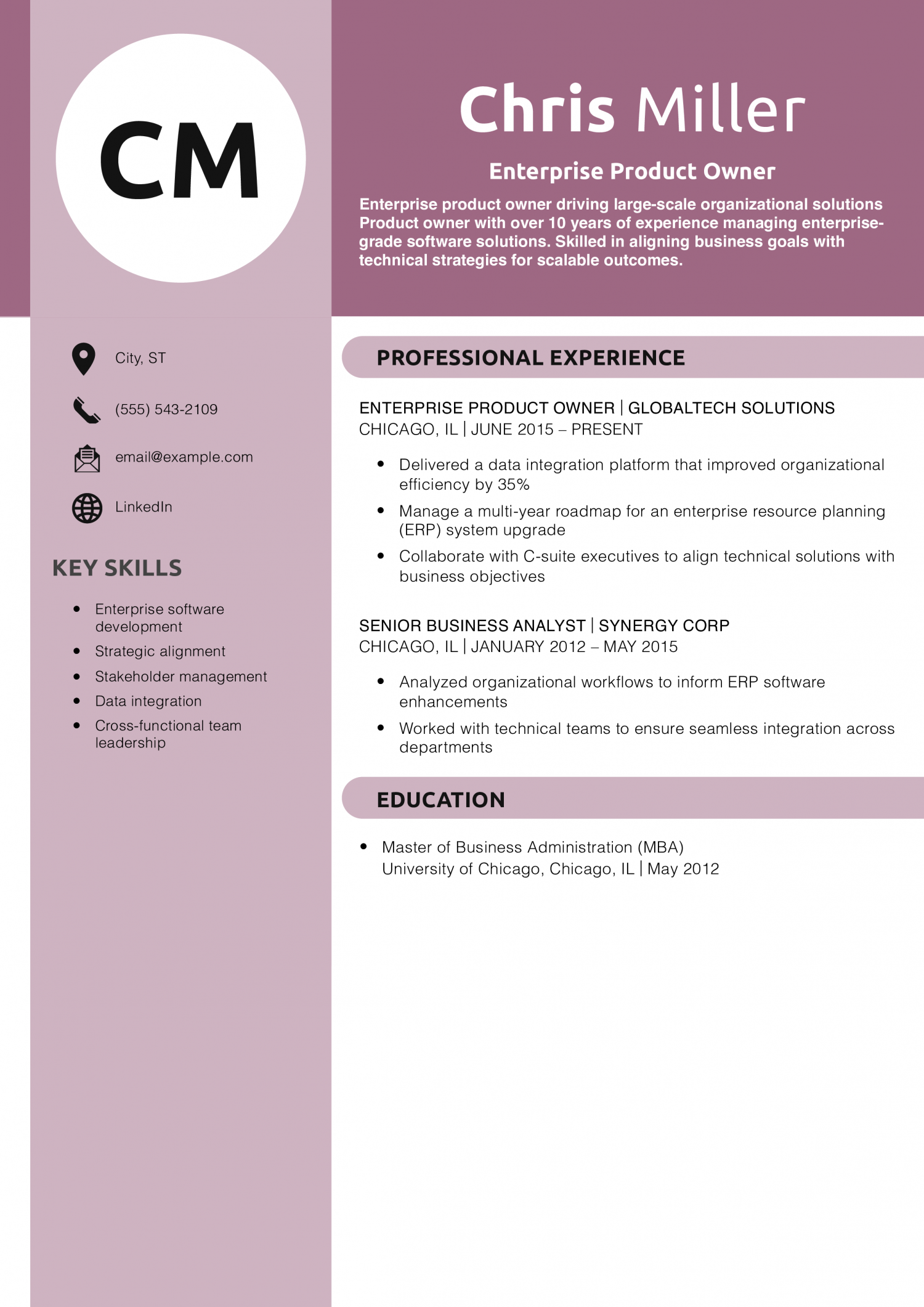 Enterprise Product Owner Resume