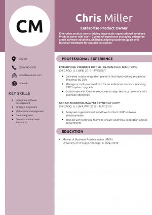 Enterprise Product Owner Resume
