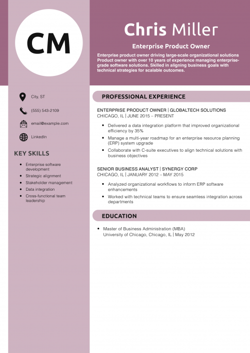 Enterprise Product Owner Resume