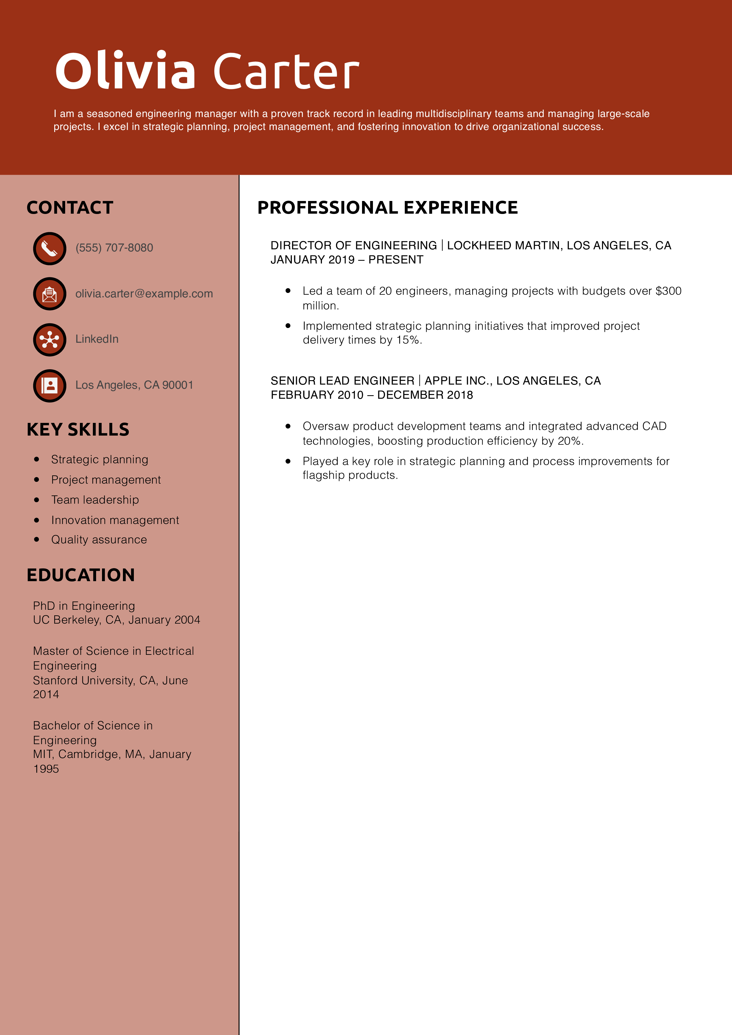 Senior Engineering Manager Resume Example