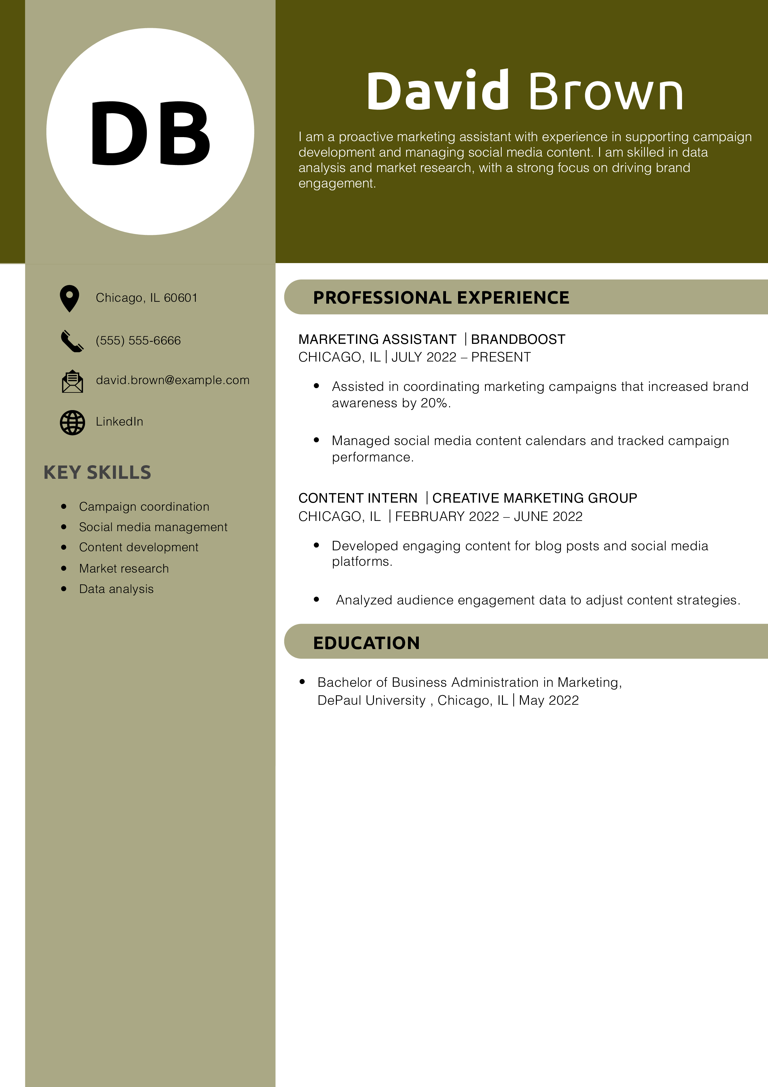 Marketing Assistant Resume Example