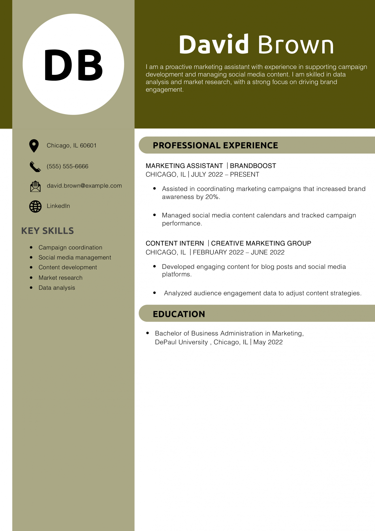 Marketing Assistant Resume Example