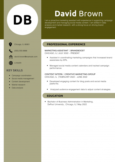  Marketing Assistant Resume Example 