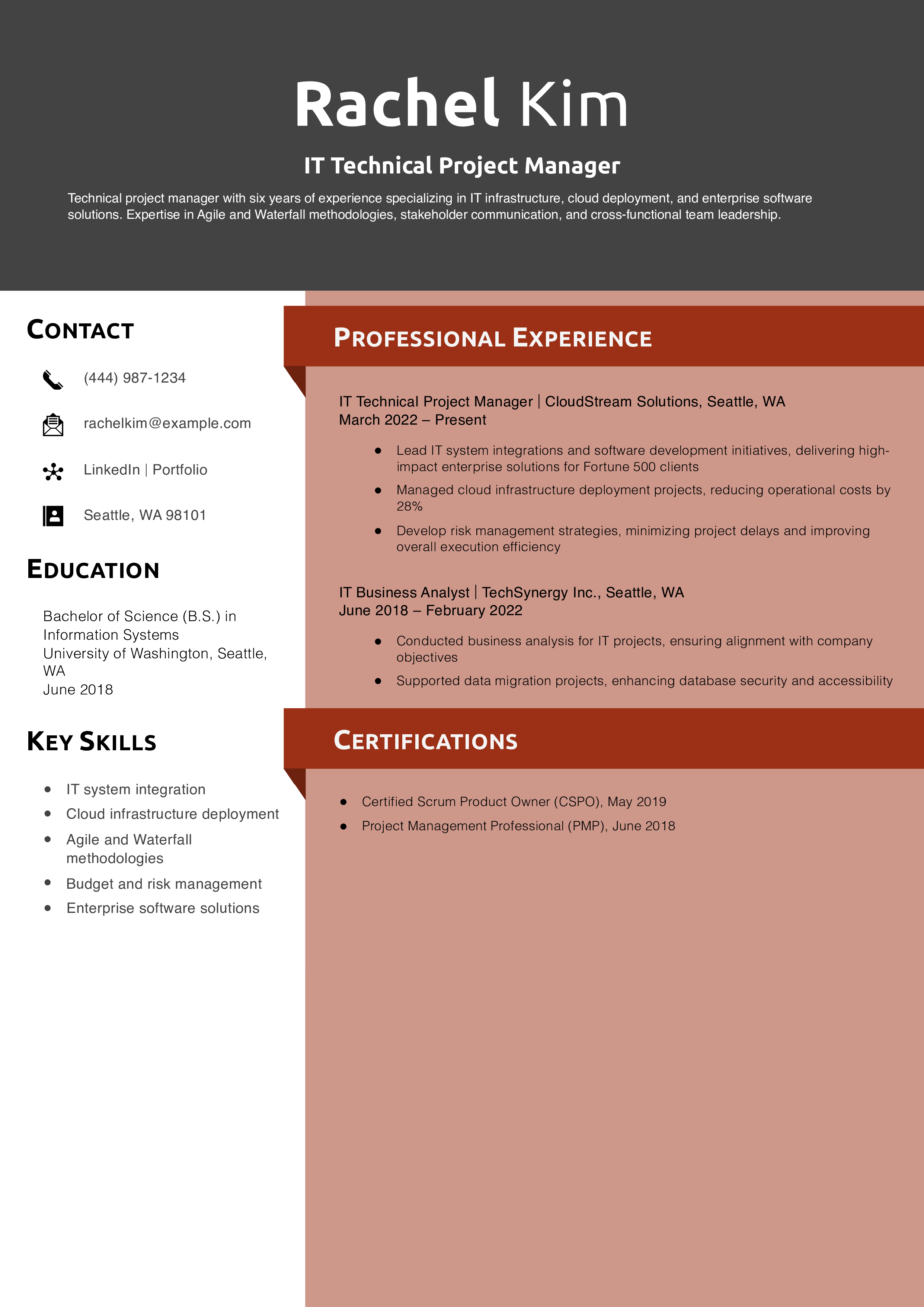 IT Technical Project Manager Resume Example