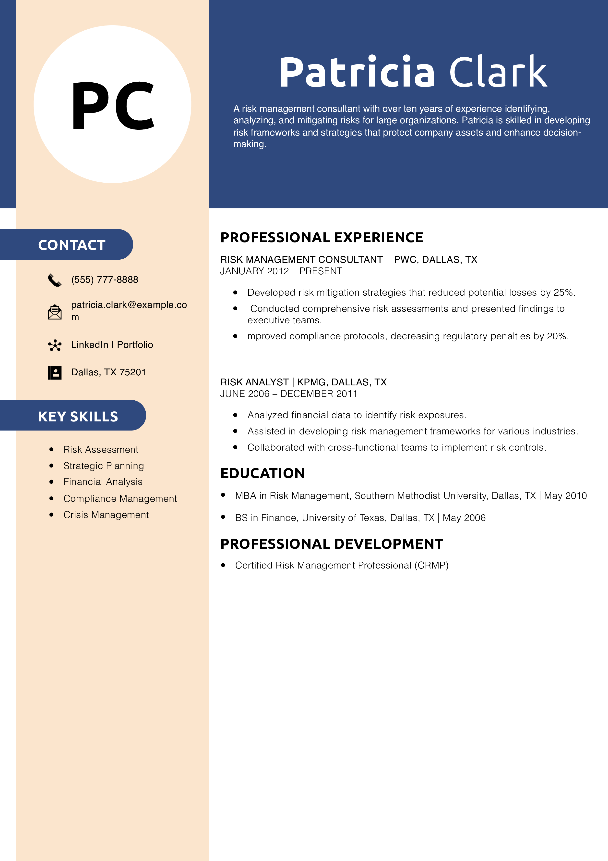 Risk Management Consultant Resume Example