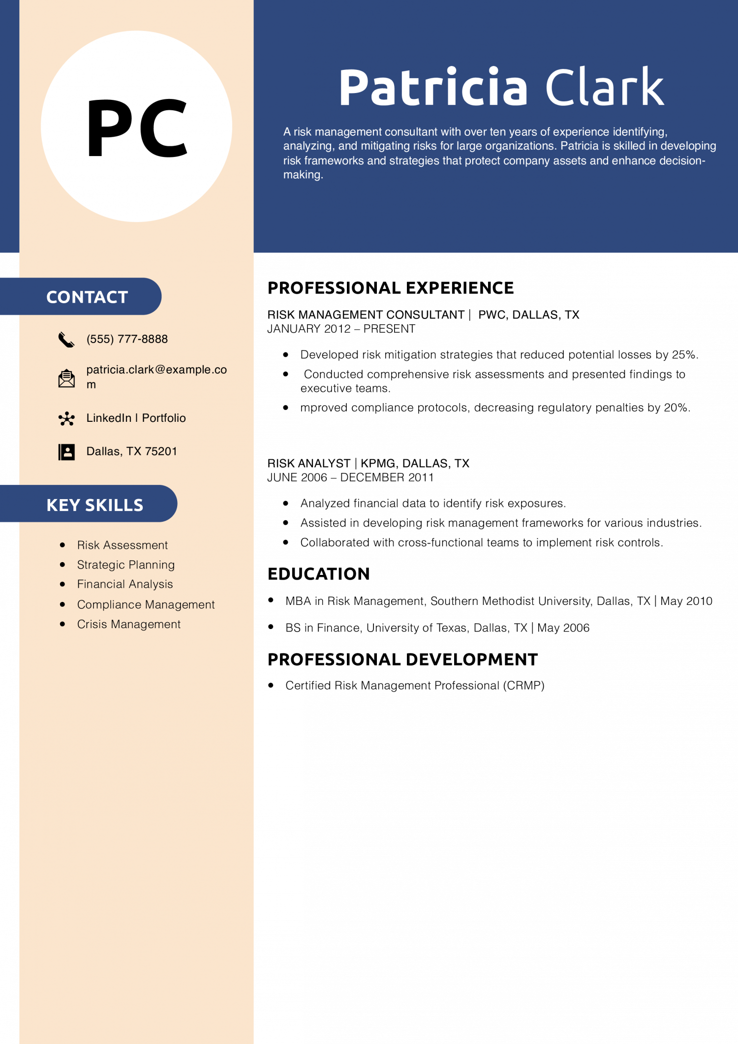 Risk Management Consultant Resume Example