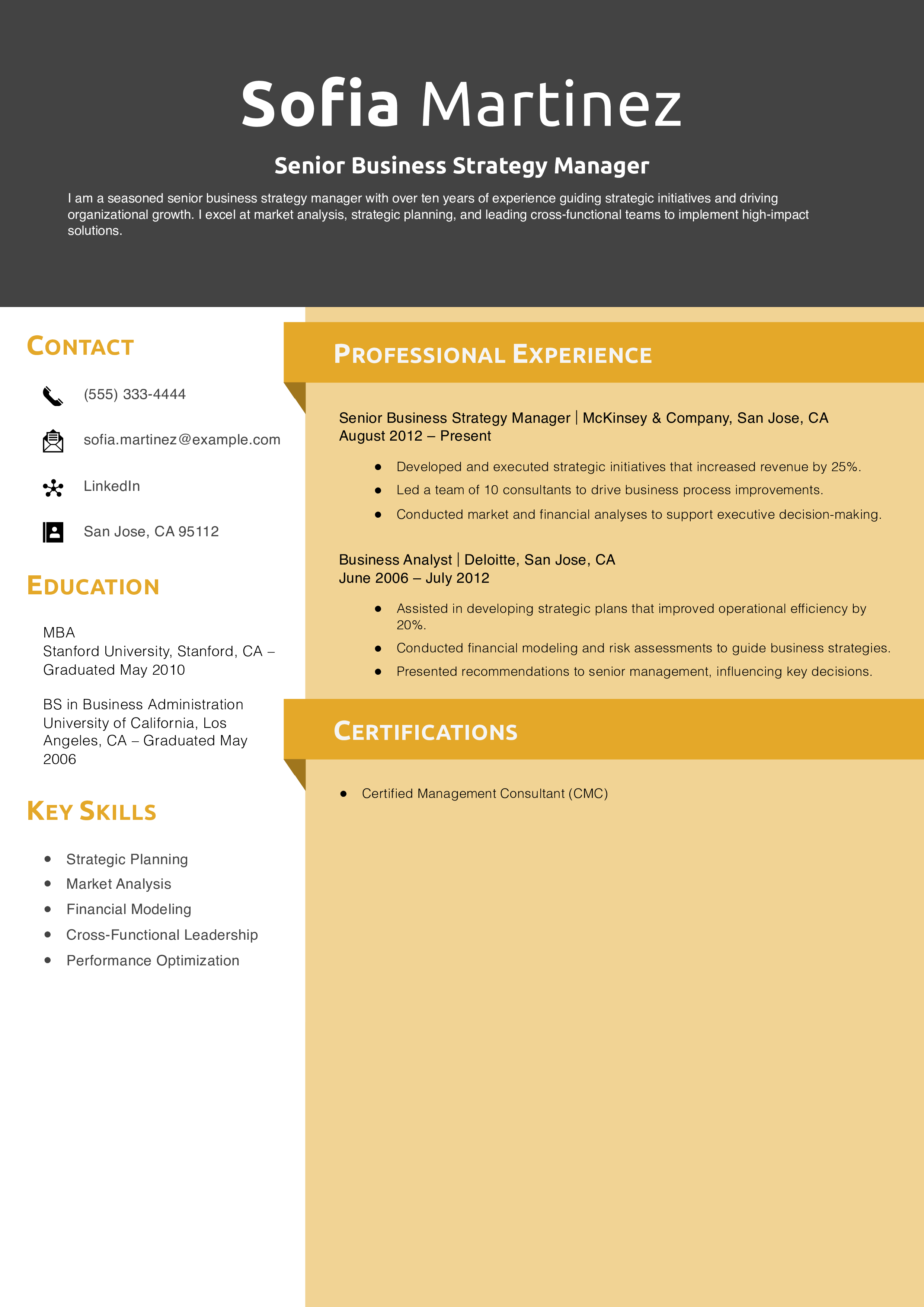 Senior Business Strategy Manager Resume Example