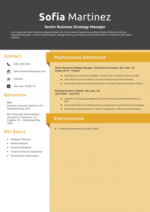 Senior Business Strategy Manager Resume Example