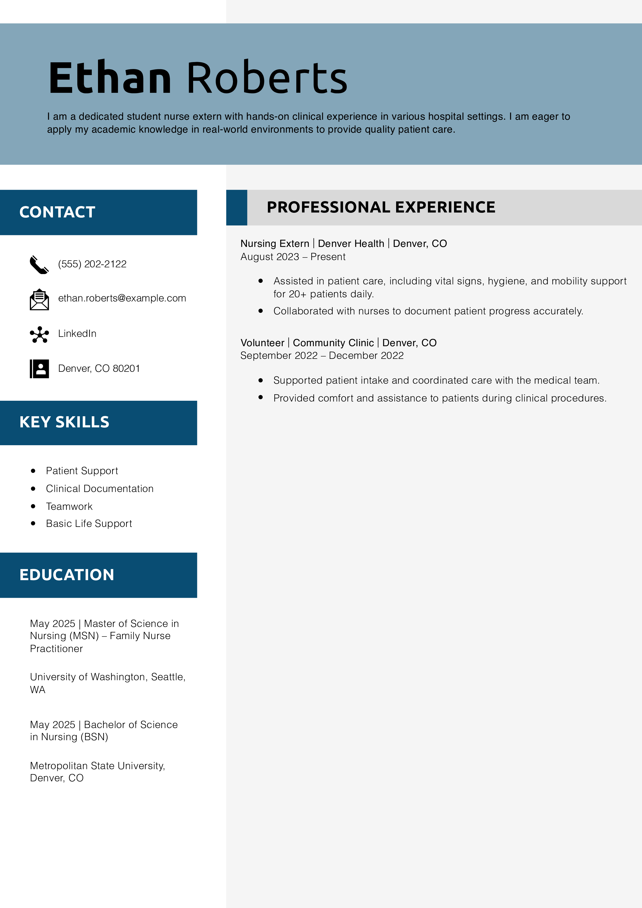 Student Nurse Extern Resume Example