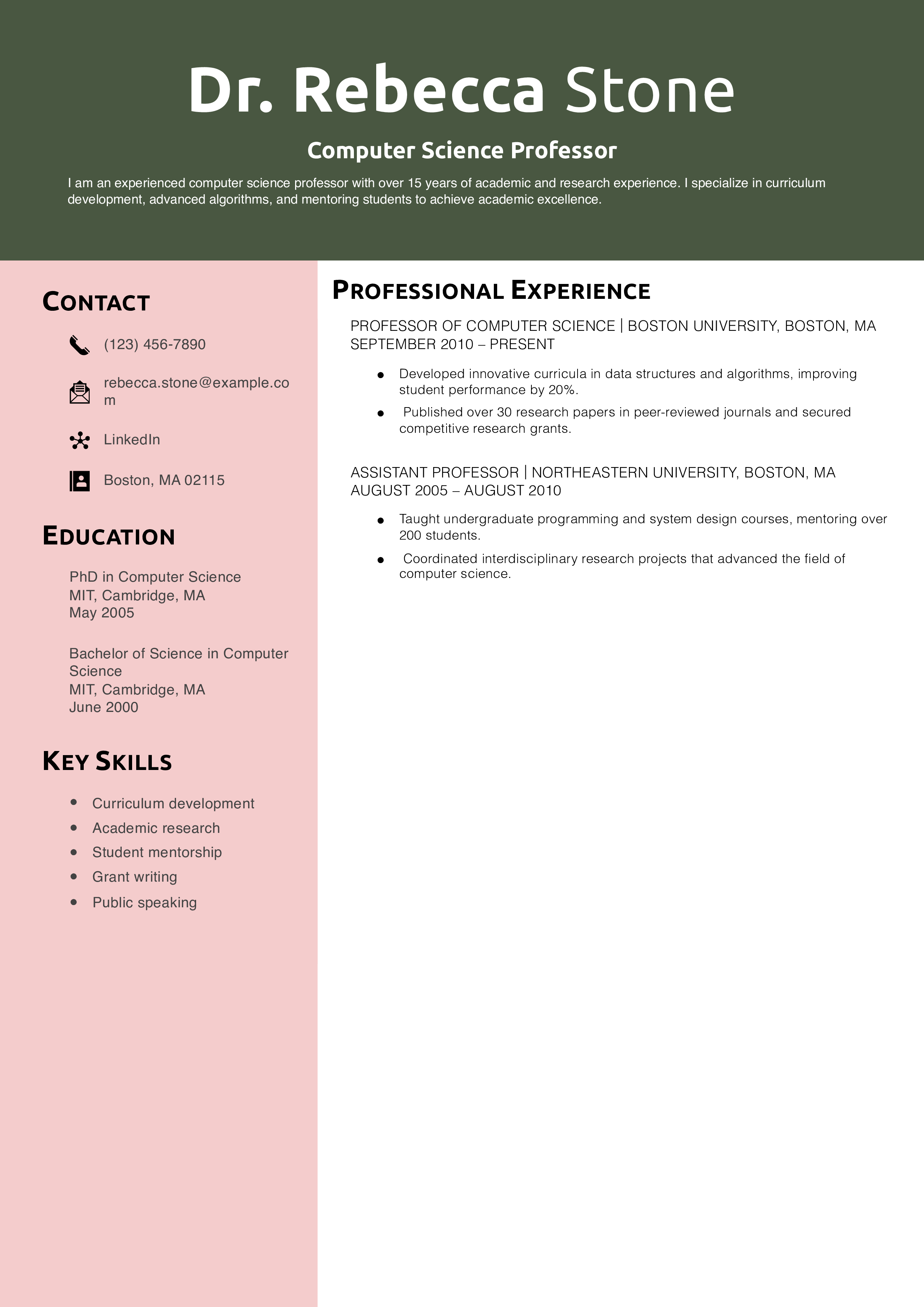 Computer Science Professor Resume Example