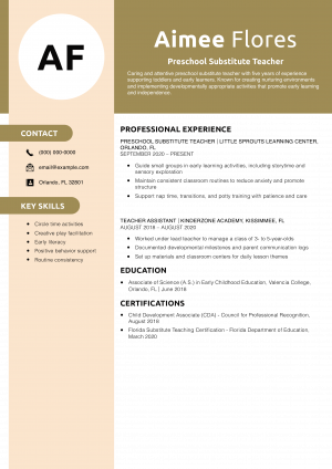 Preschool Substitute Teacher Resume Example