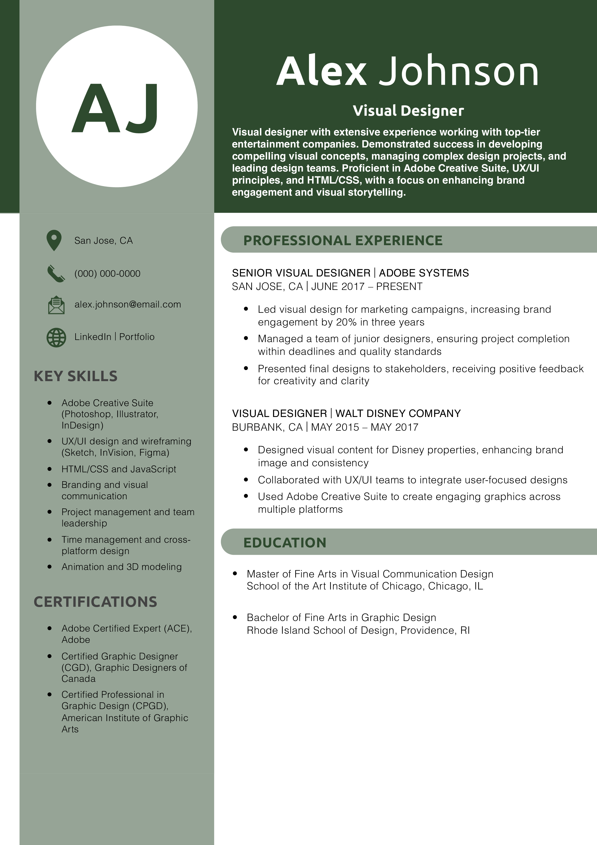 Visual Designer Resume Example