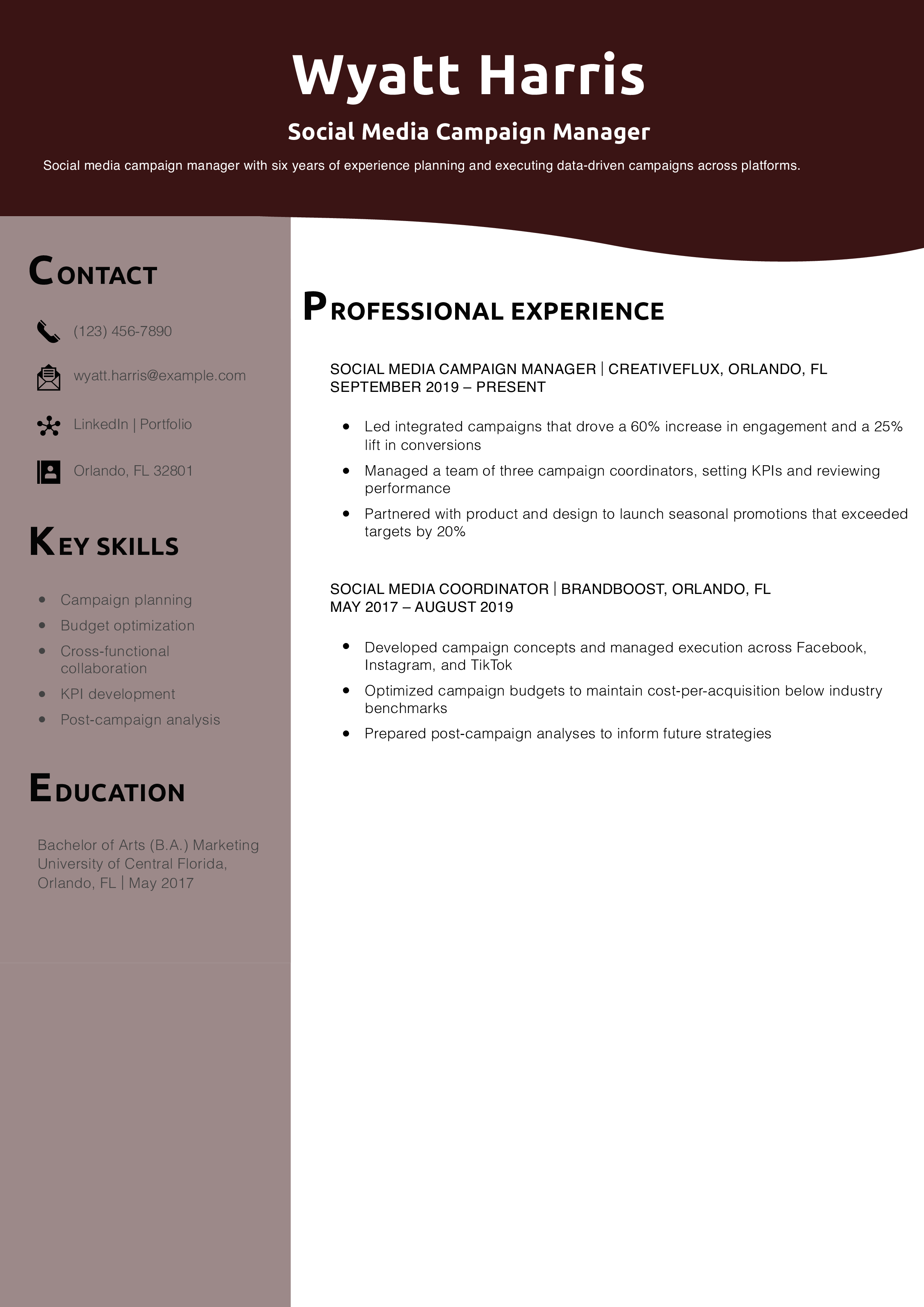 Social Media Campaign Manager Resume Example