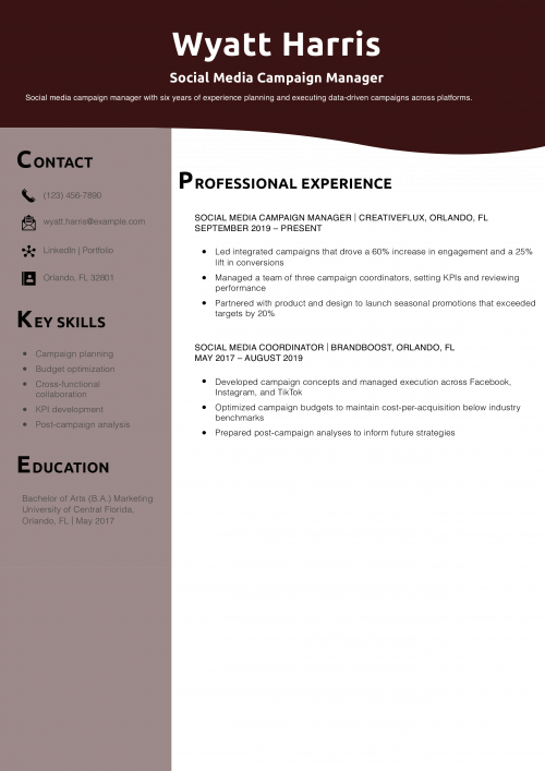 Social Media Campaign Manager Resume Example
