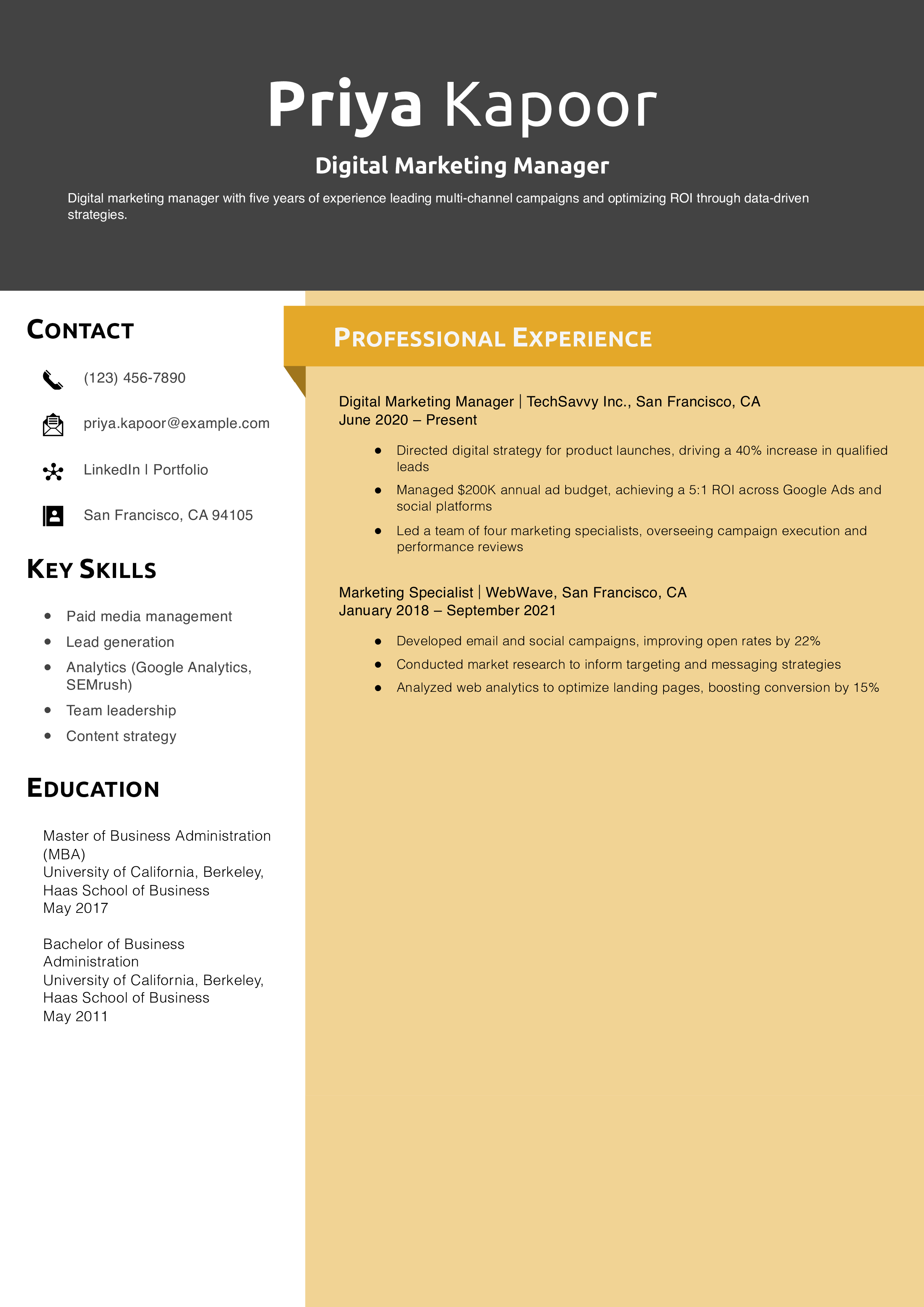 Digital Marketing Manager Resume Example