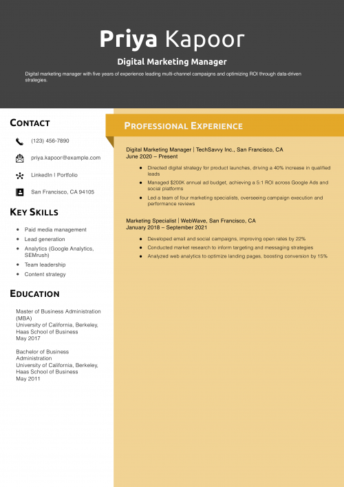 Digital Marketing Manager Resume Example