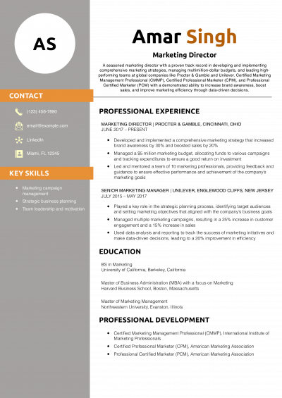 Marketing Director Resume Example