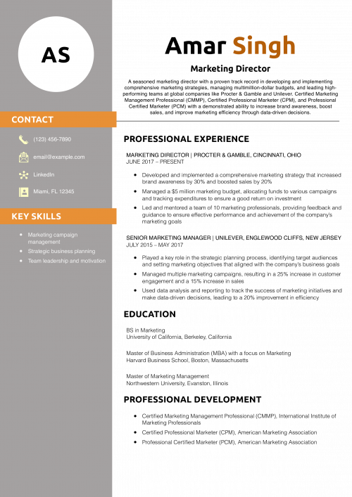 Marketing Director Resume Example
