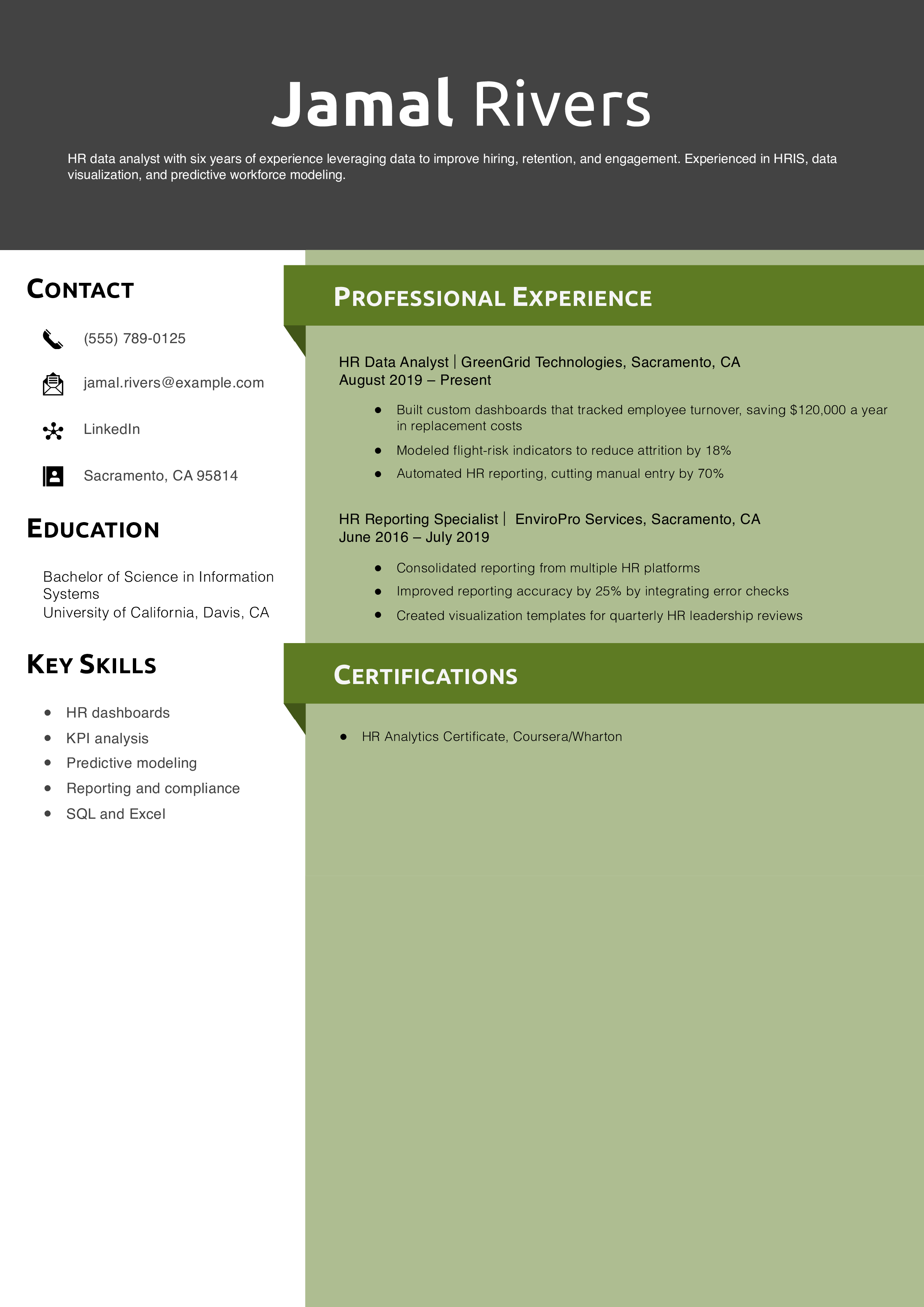 HR Data Analyst Resume Example