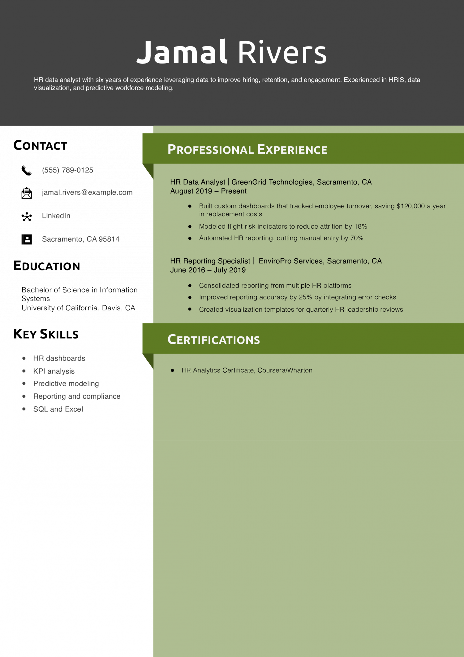 HR Data Analyst Resume Example