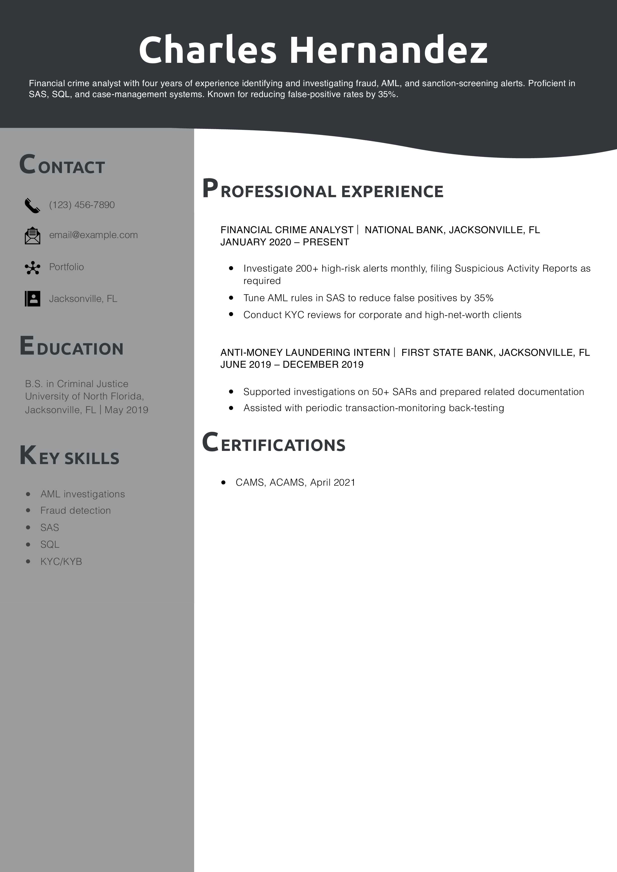 Financial Crime Analyst Resume Example