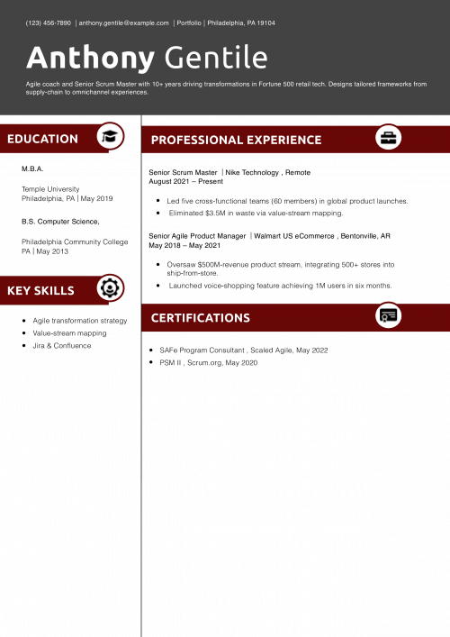 Senior Scrum Master Resume Example 