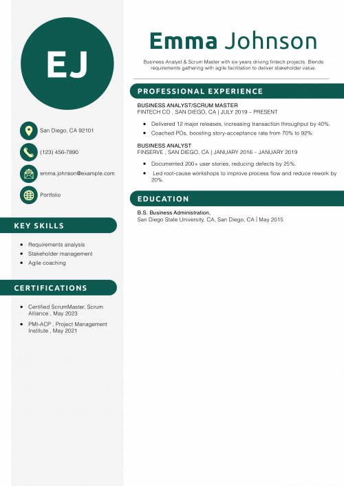 Business Analyst Scrum Master Resume Example 