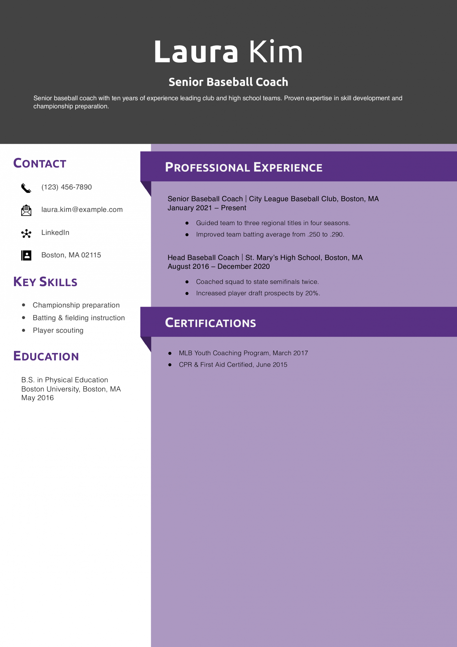 Senior Baseball Coach Resume Example