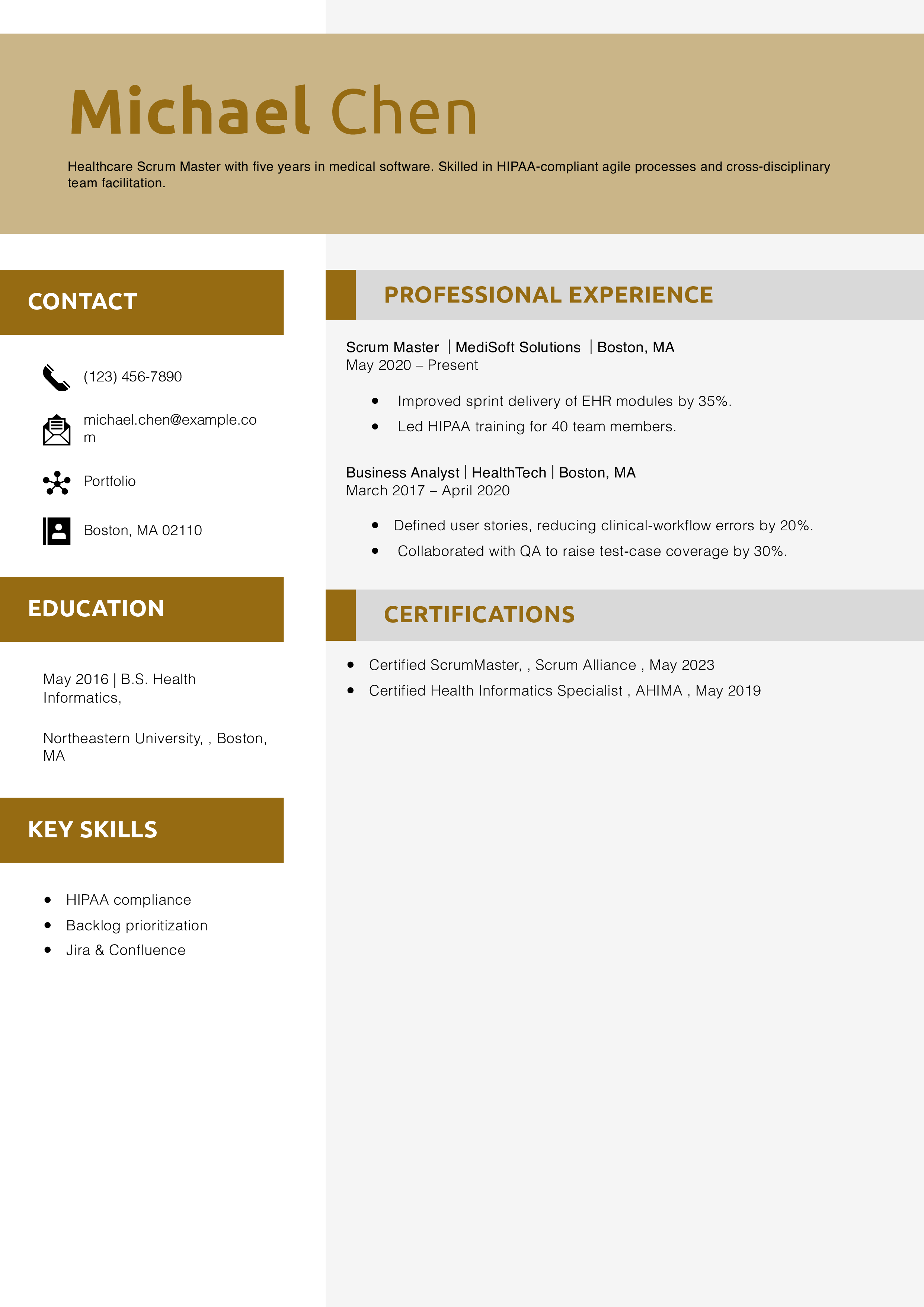 Healthcare Scrum Master Resume Example