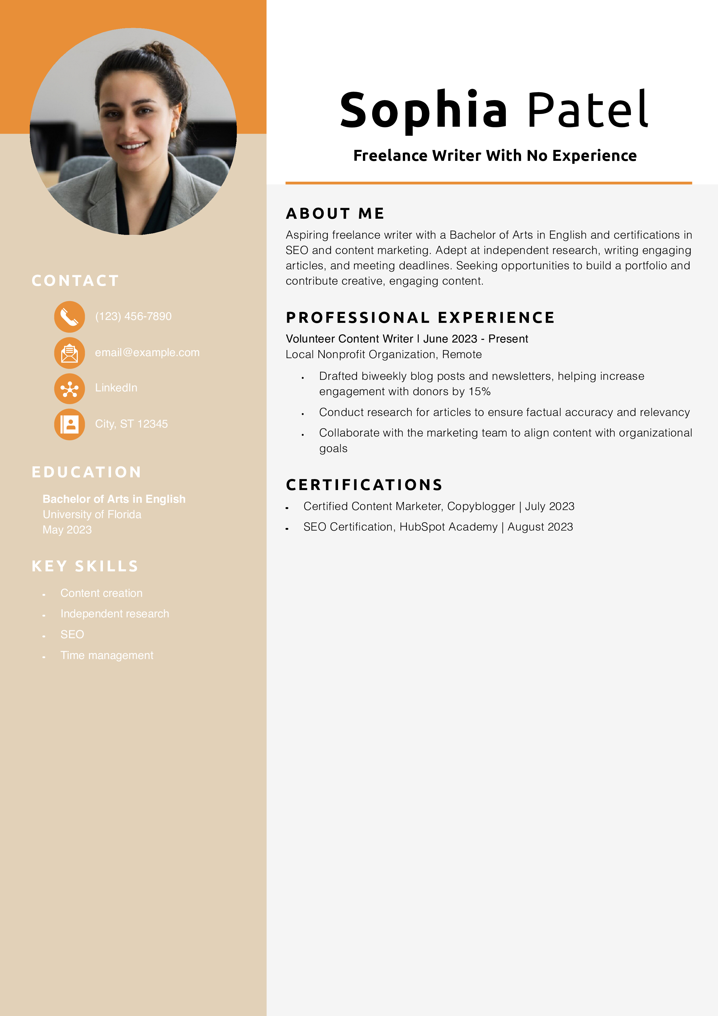 Freelance Writer With No Experience Resume Example
