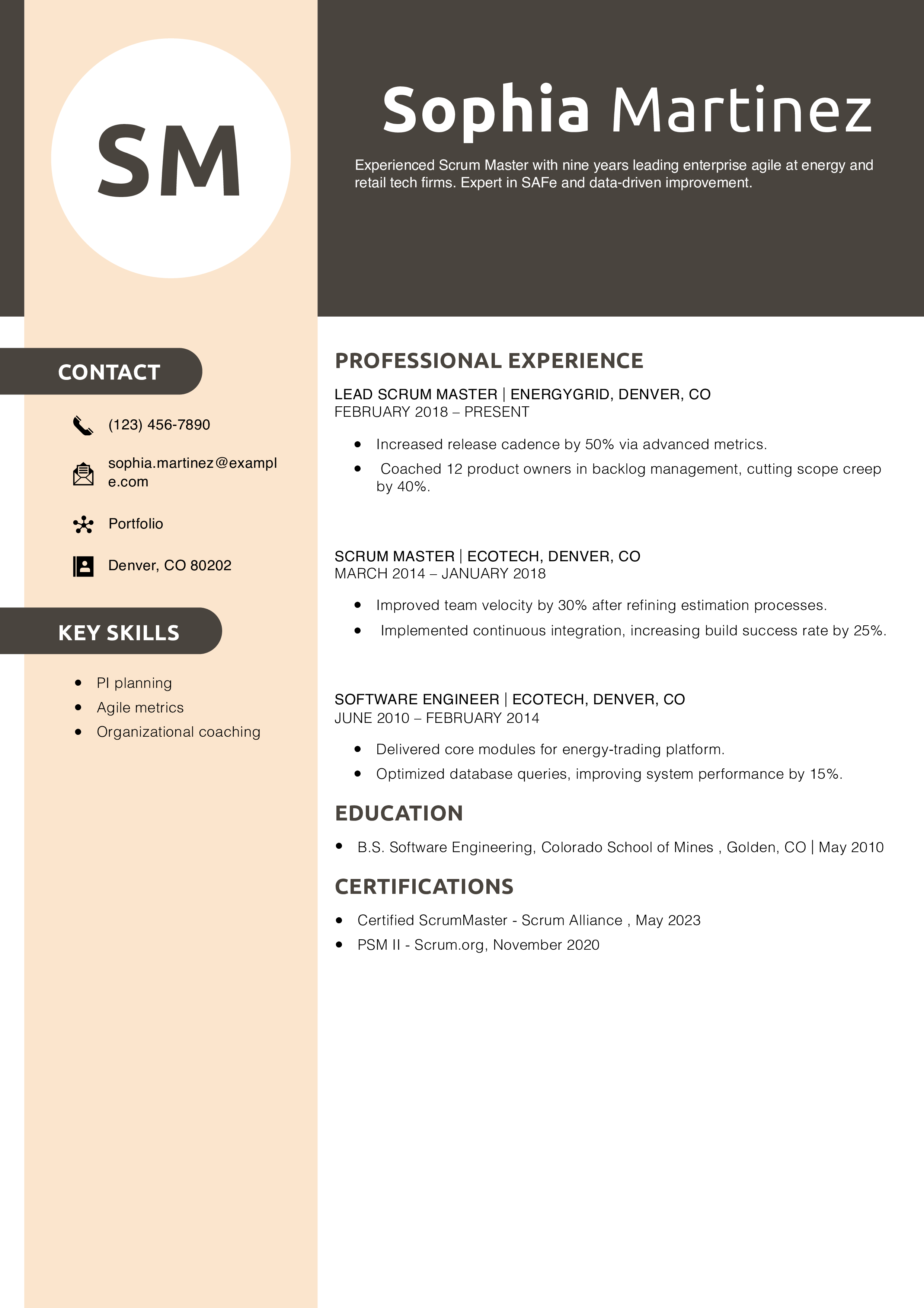 Experienced Scrum Master Resume Example