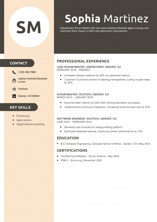 Experienced Scrum Master Resume Example