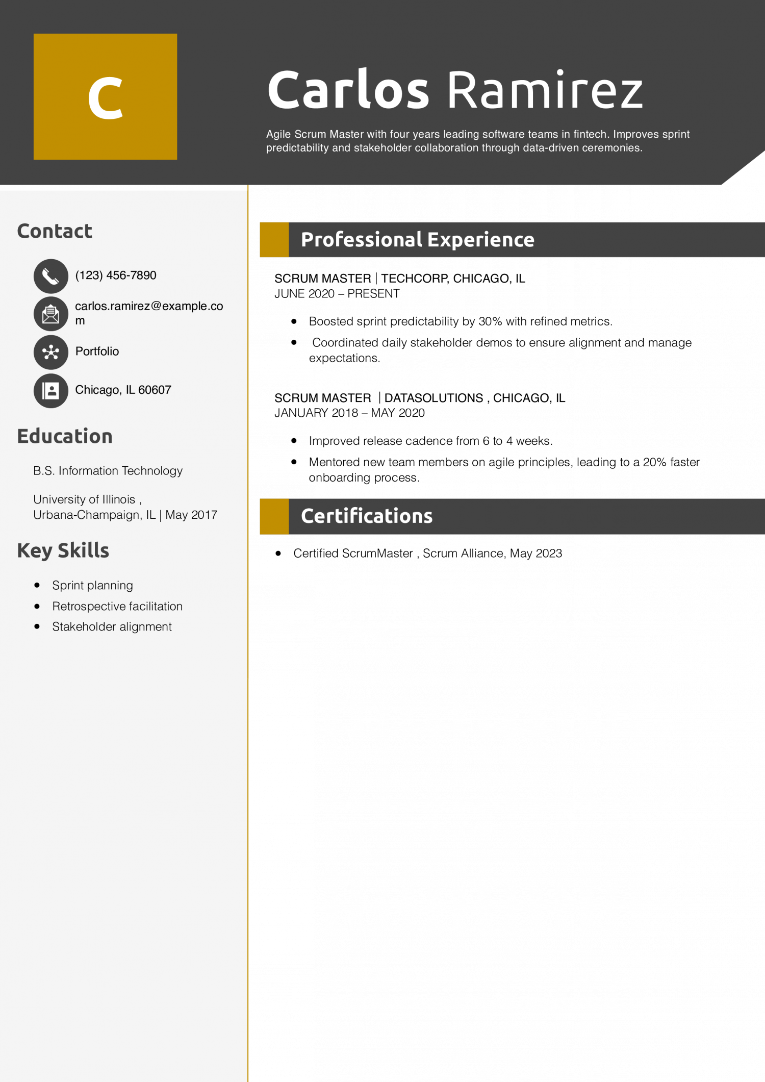 DevOps Scrum Master Resume Example