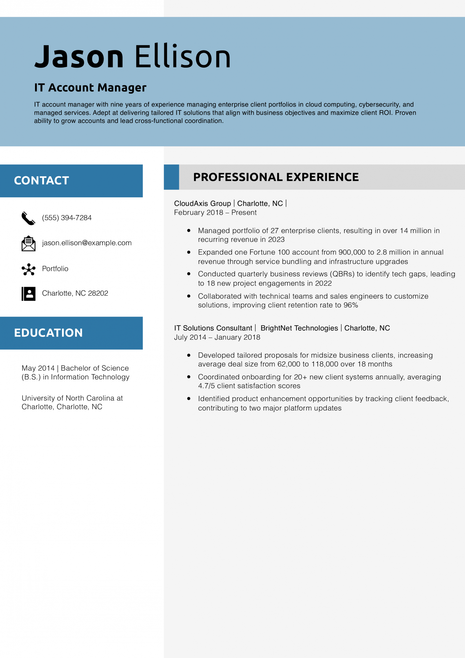 IT Account Manager Resume Example