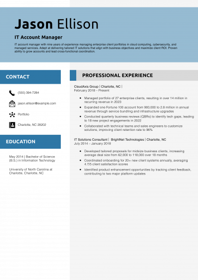 IT Account Manager Resume Example