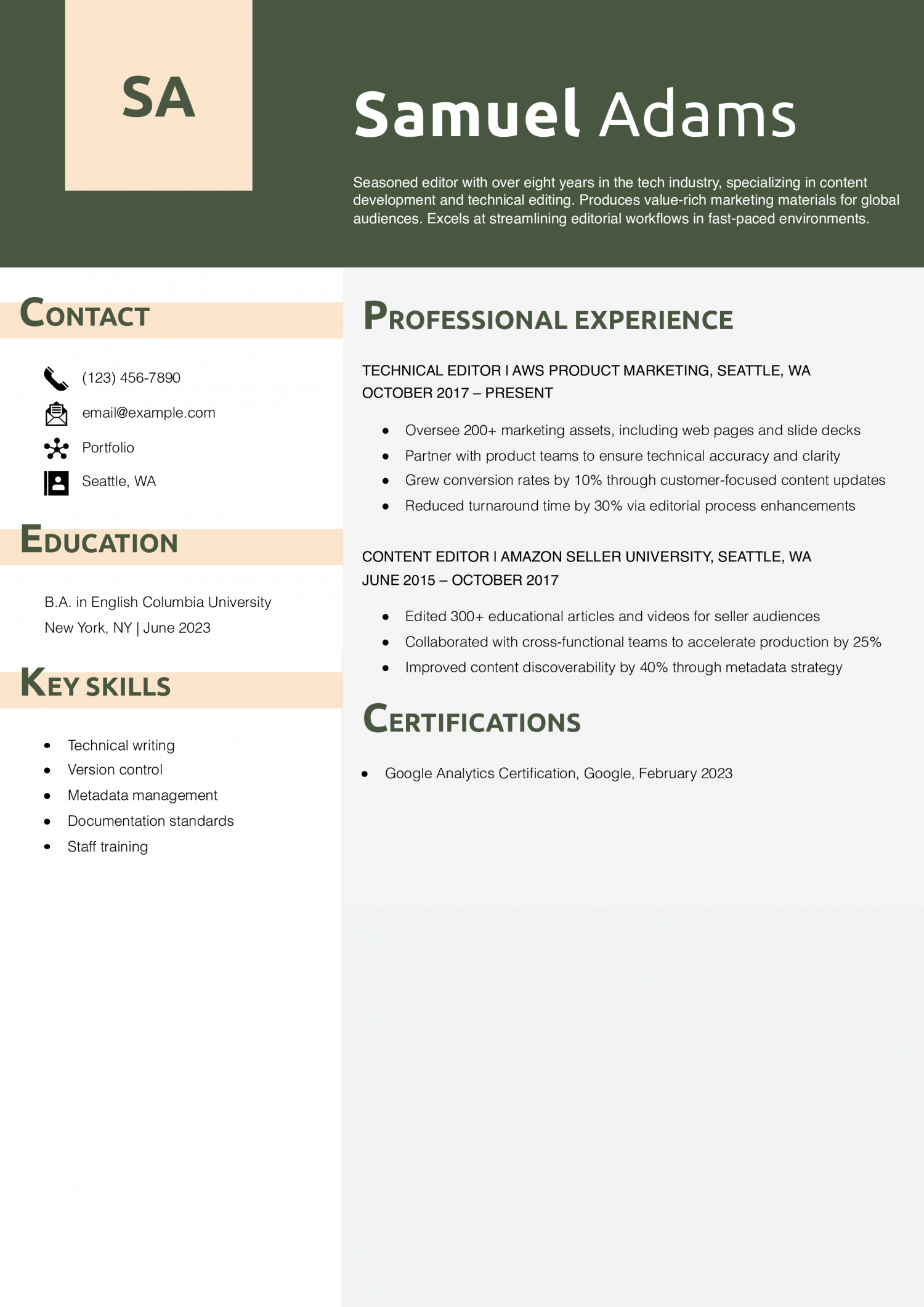 Technical Editor Resume Example
