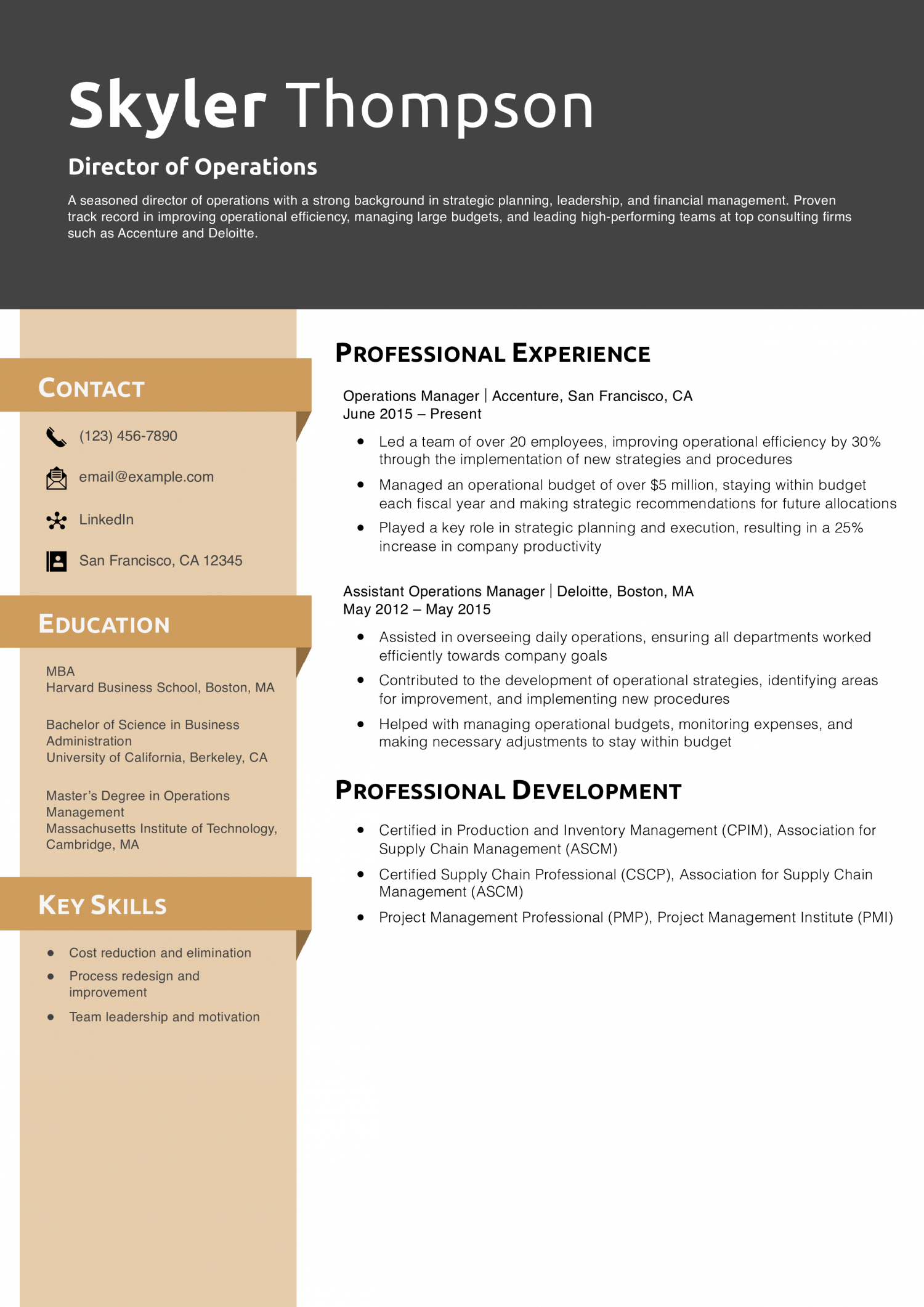 Director of Operation Resume Examples