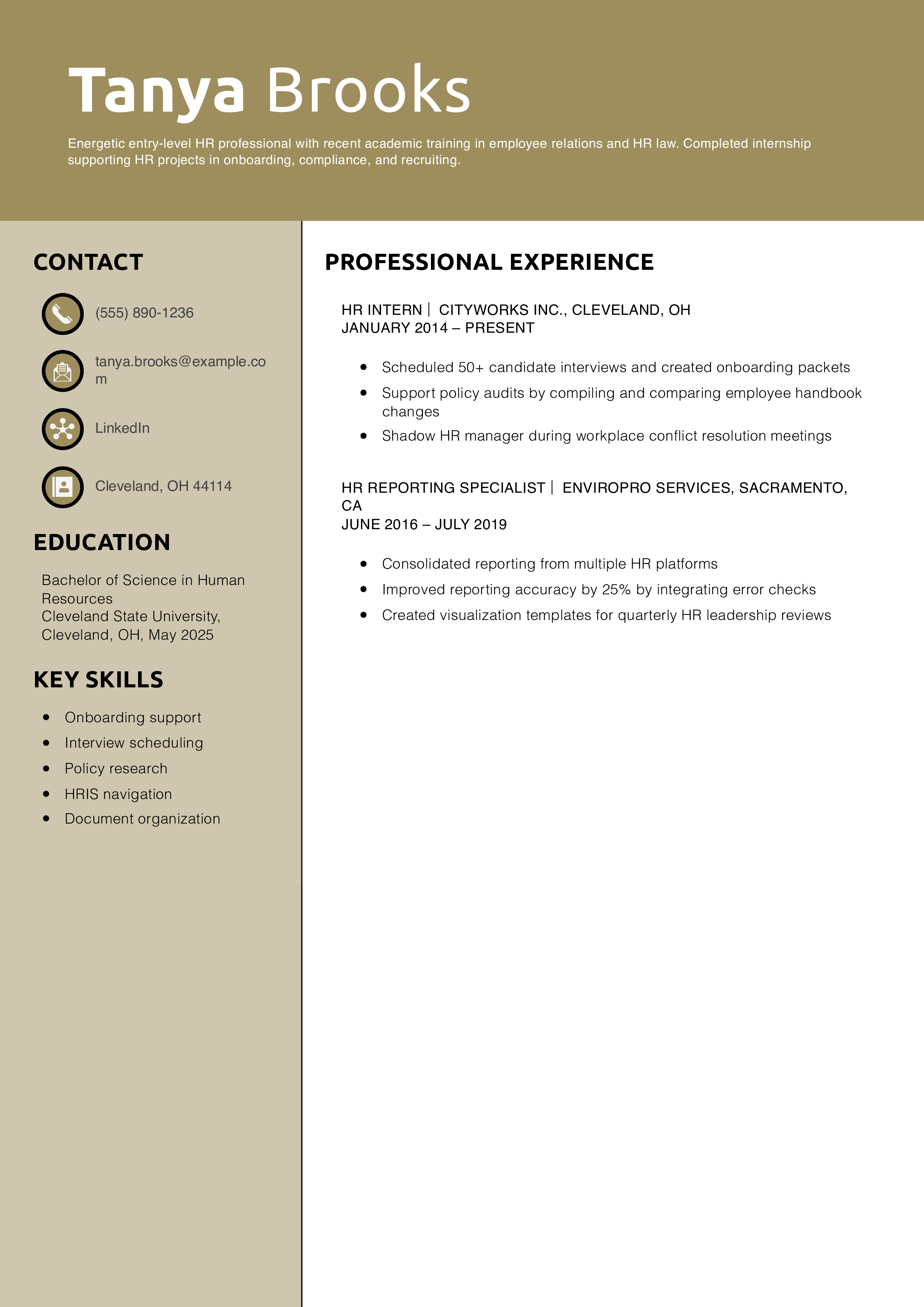 Entry-Level HR Resume Example