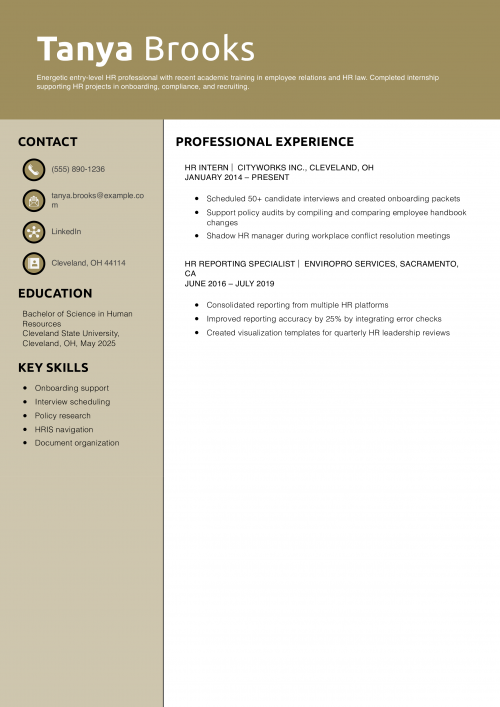 Entry-Level HR Resume Example