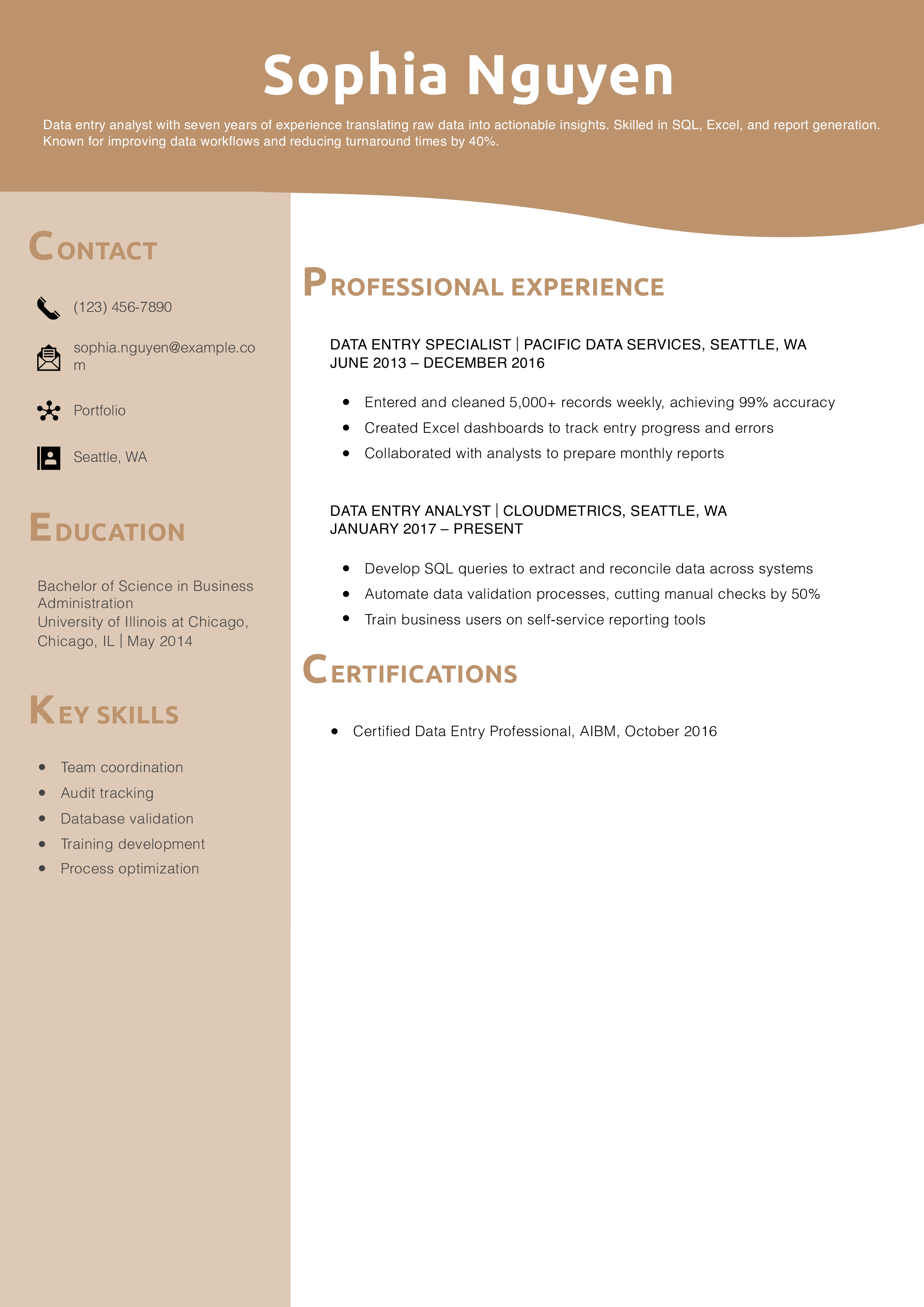 Data Entry Analyst Resume Example