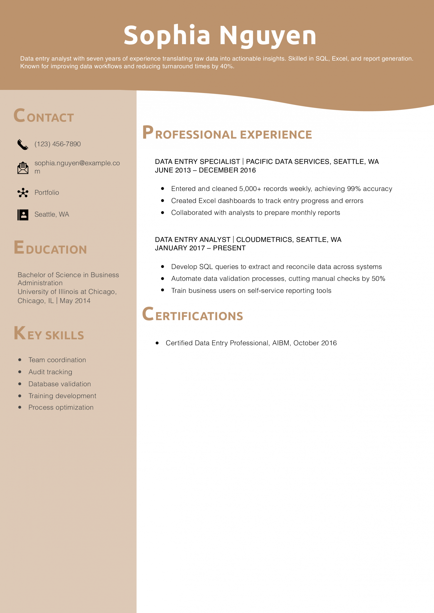 Data Entry Analyst Resume Example