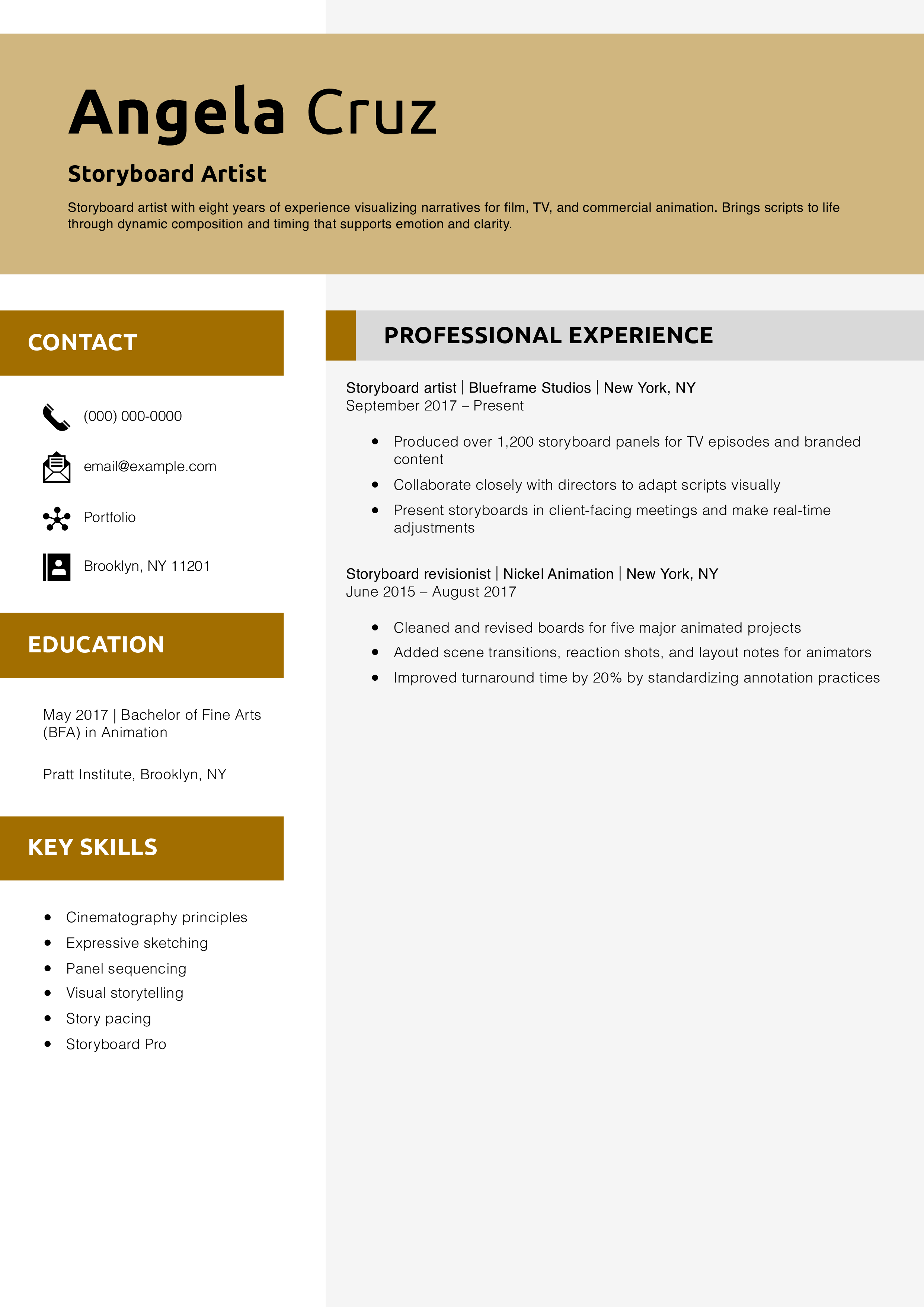 Storyboard Artist Resume Example