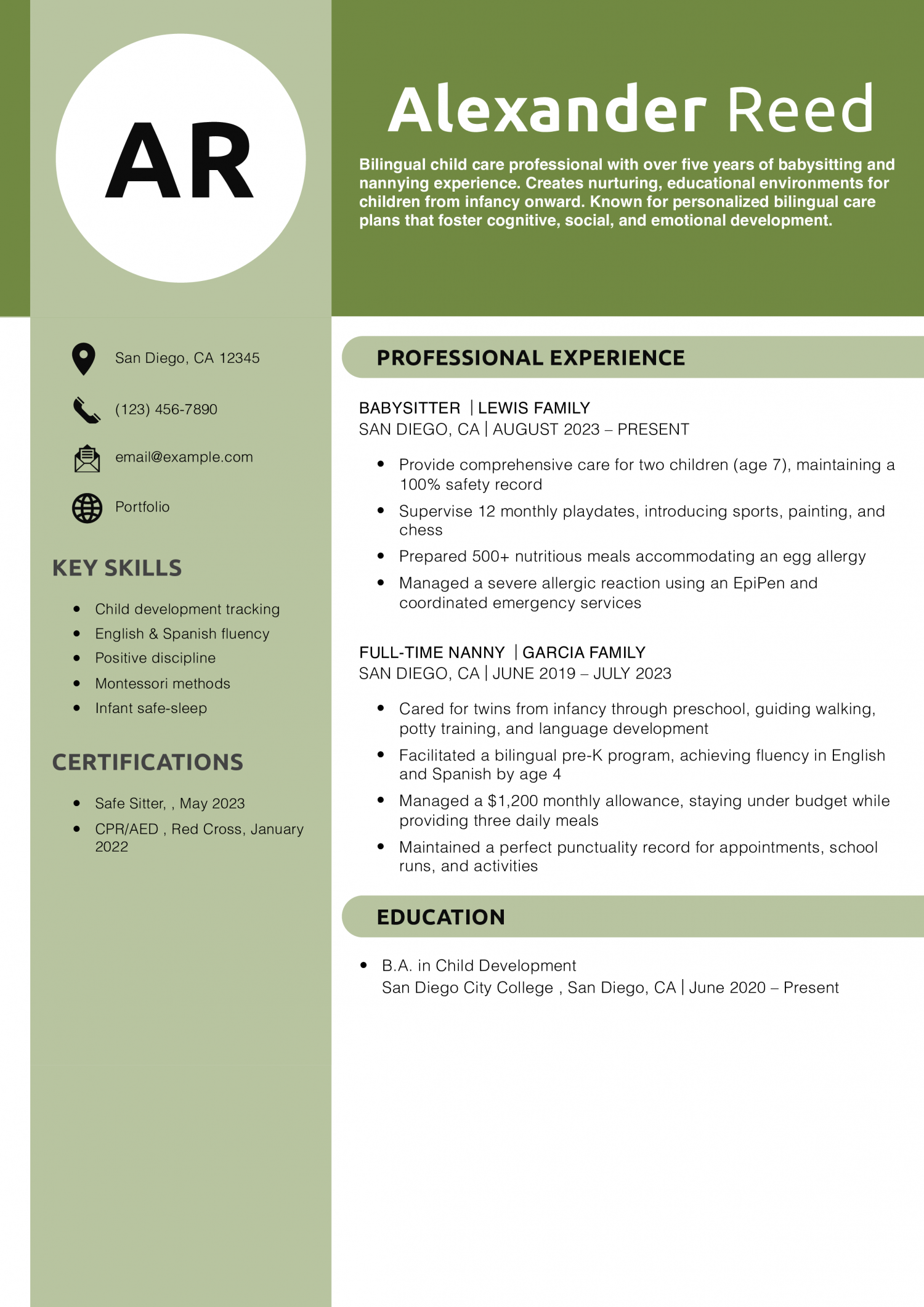 Bilingual Child Care Professional Resume Example