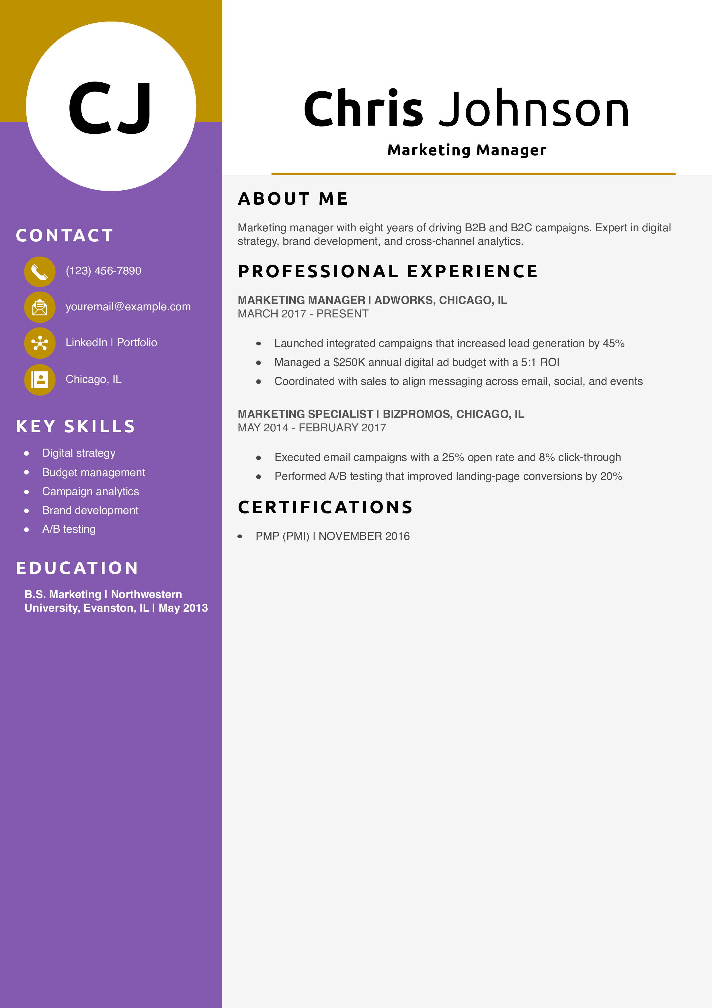 Marketing Manager Resume Example